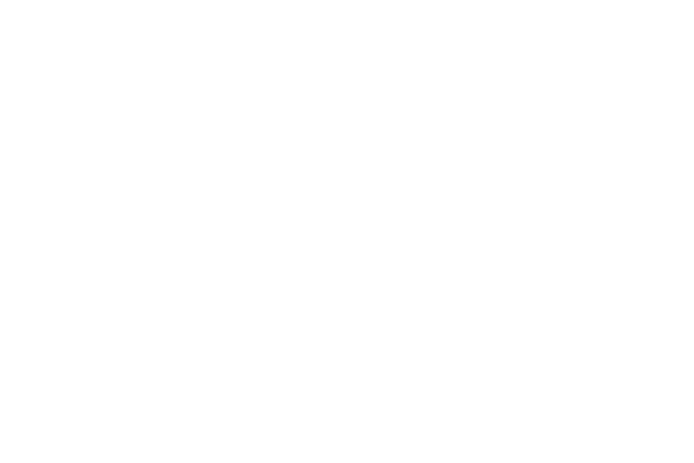 DTV_Logo_sw 09-03-06