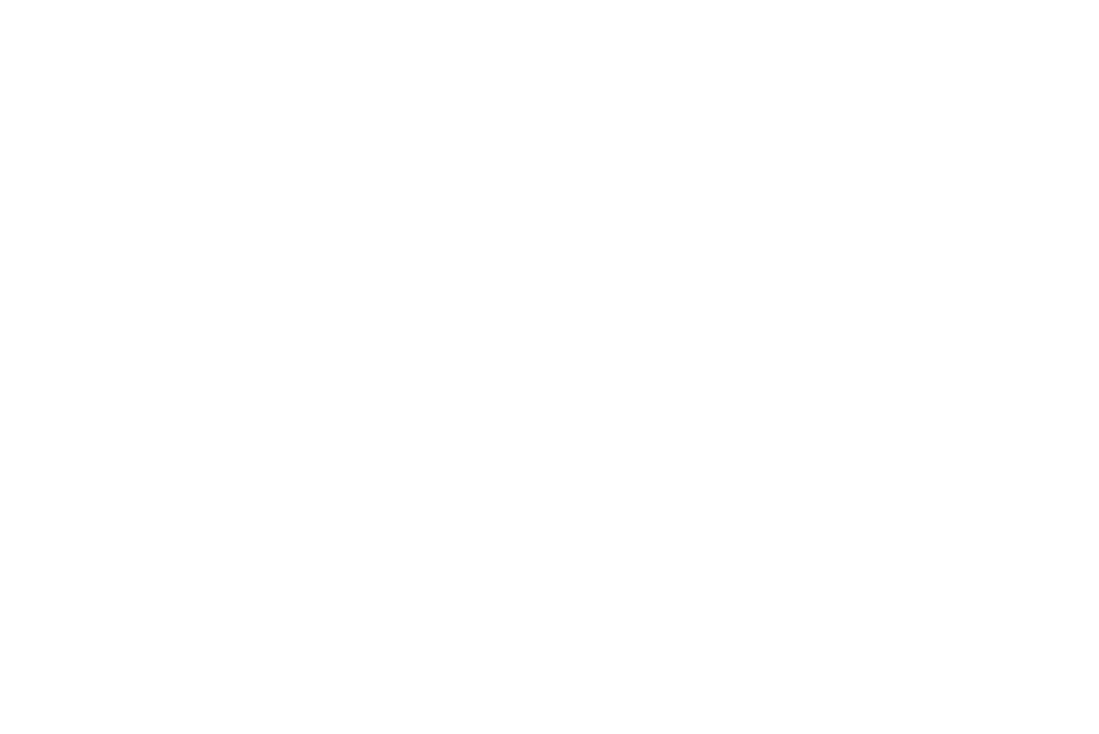 LBM BANNER II jpg (1)